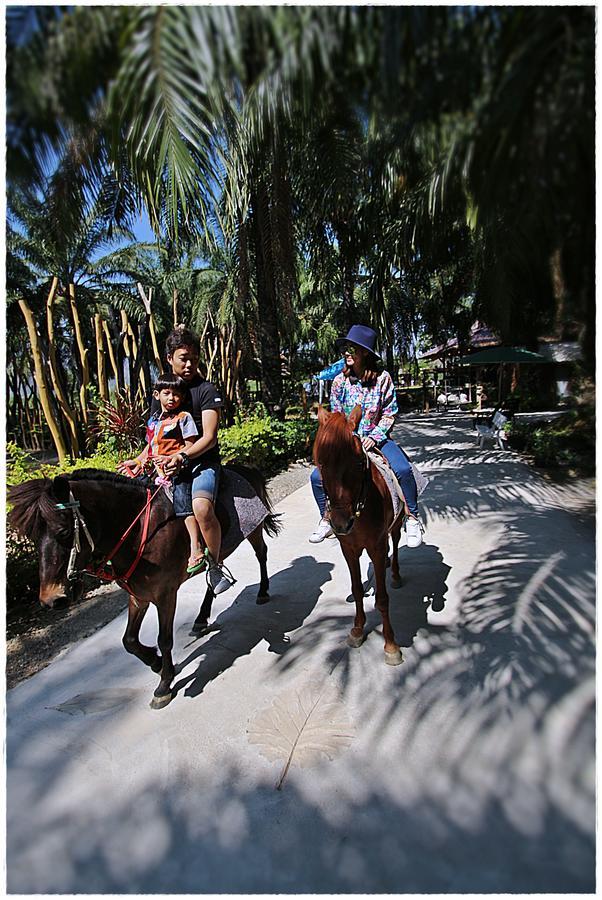 Ingkhao Glamping Resort Hua Hin