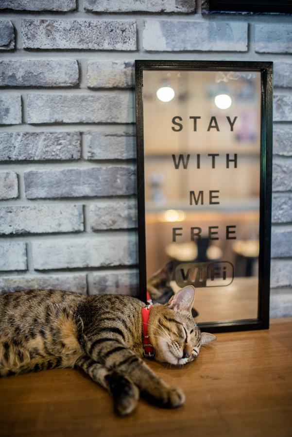 Buathai Loft (adults Only) *