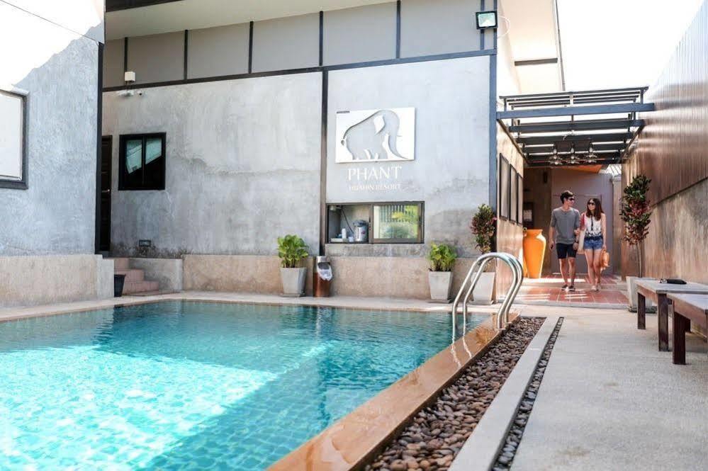 Hotel Phant 3*
