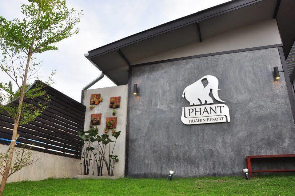 Hotel Phant 3*