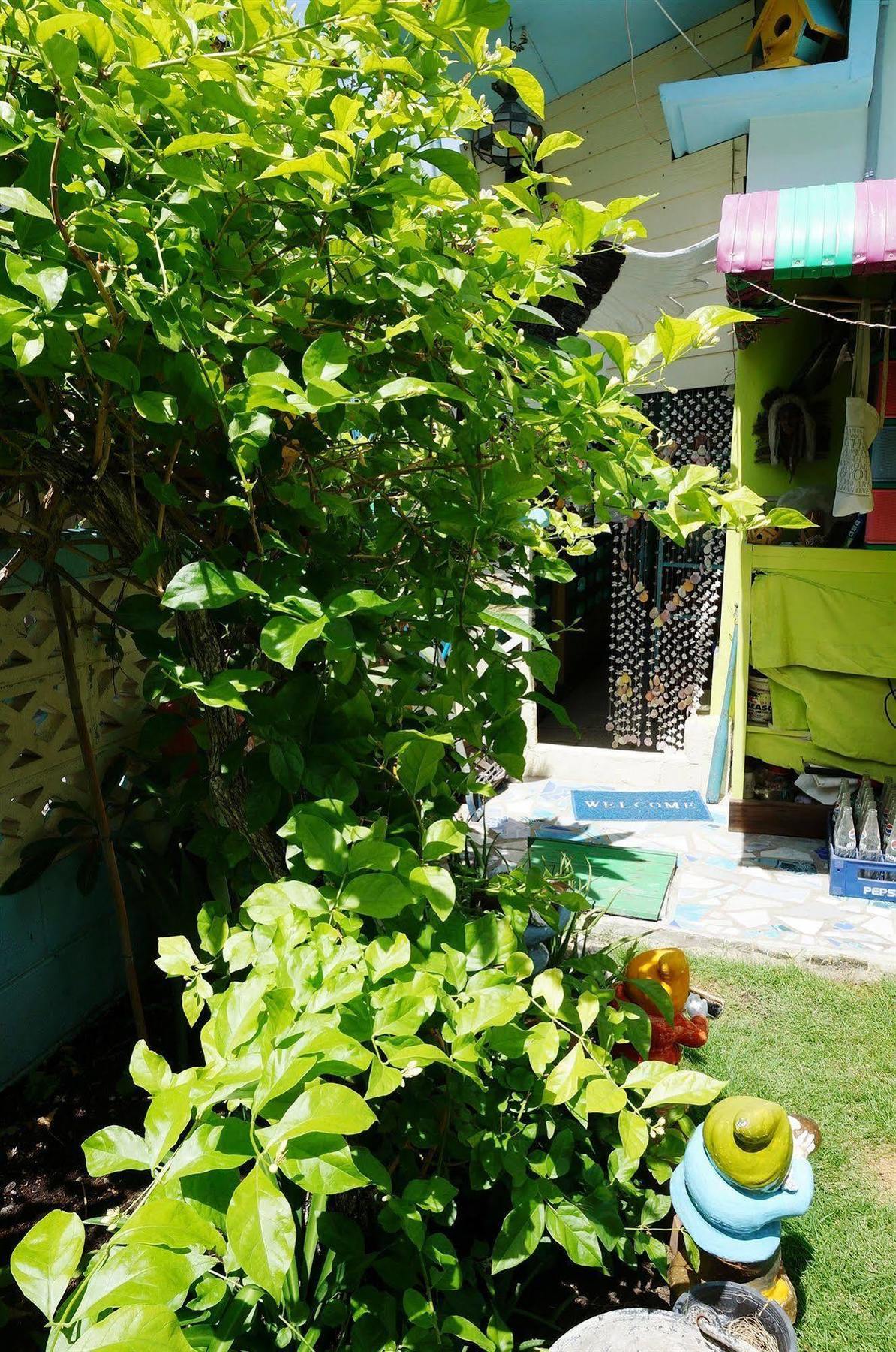 Guest house King's