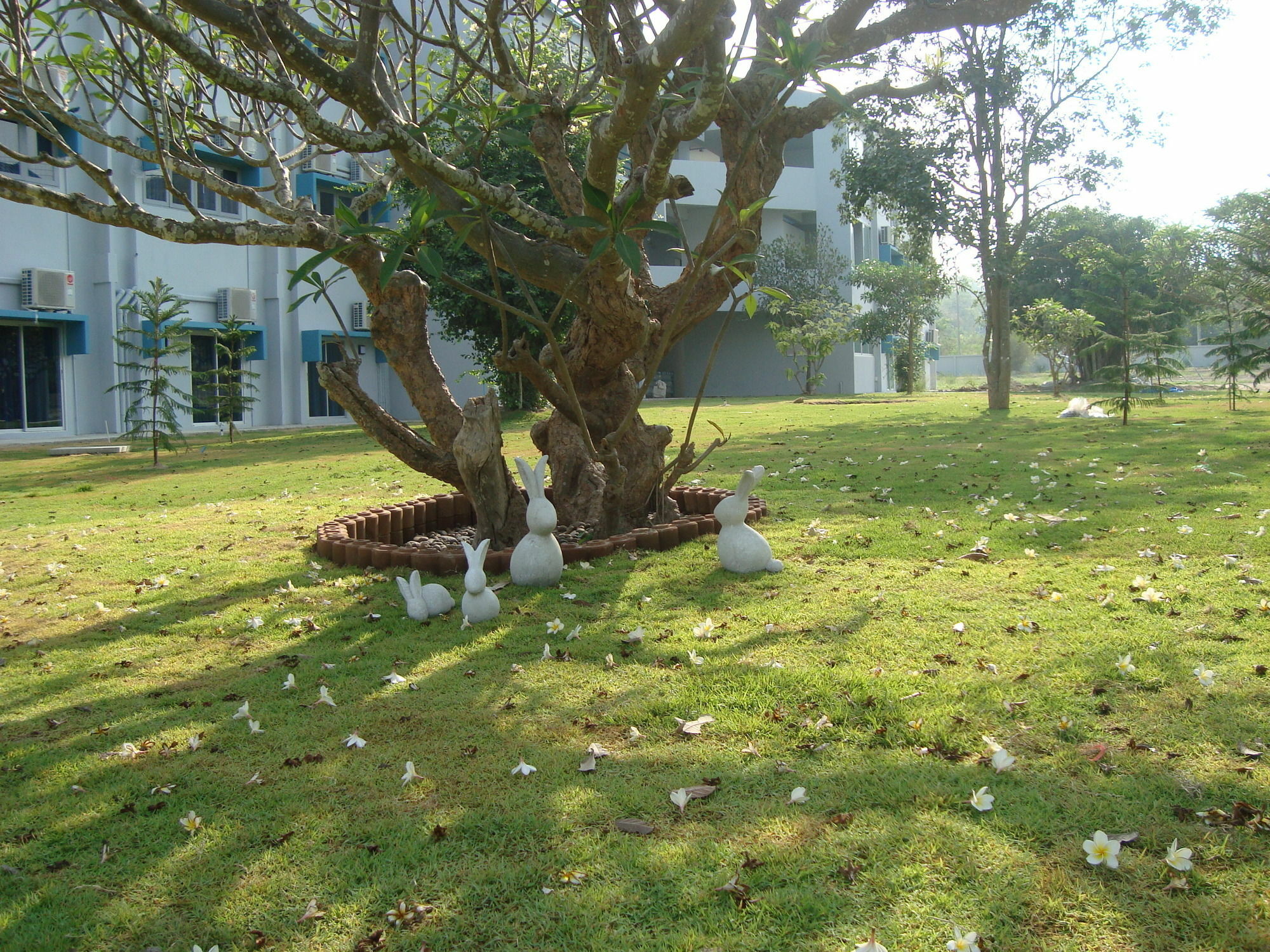 Aparthotel Addera 2*