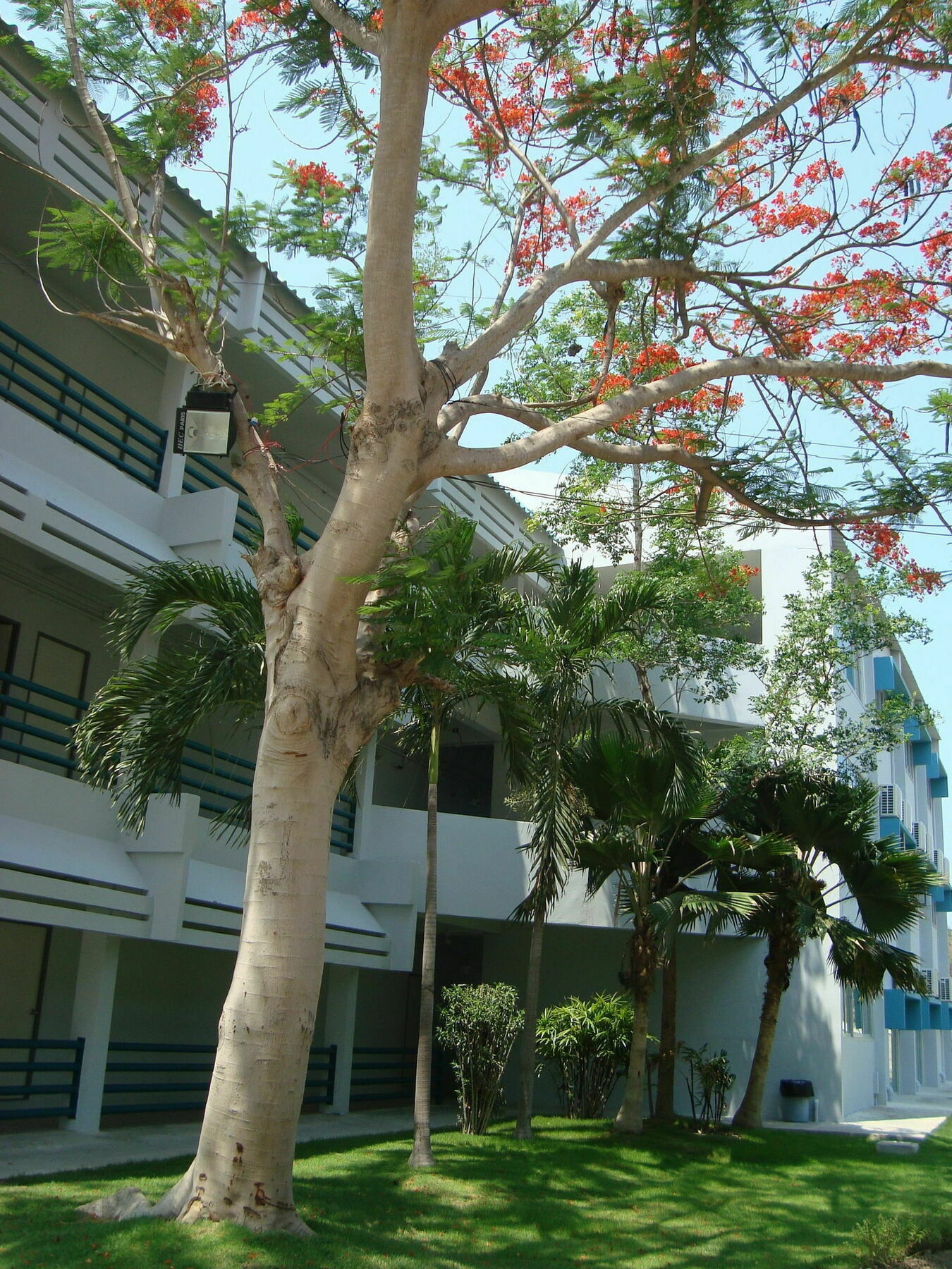 Addera Aparthotel 2*