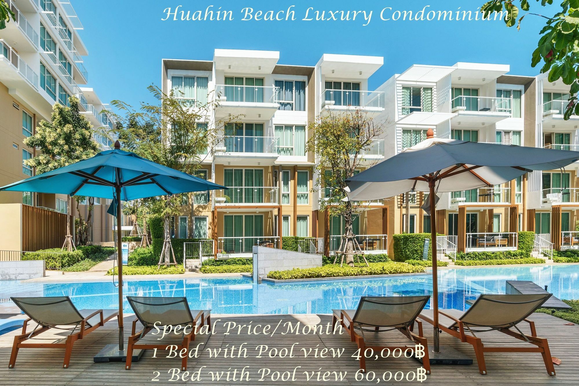 Apartment Luxury