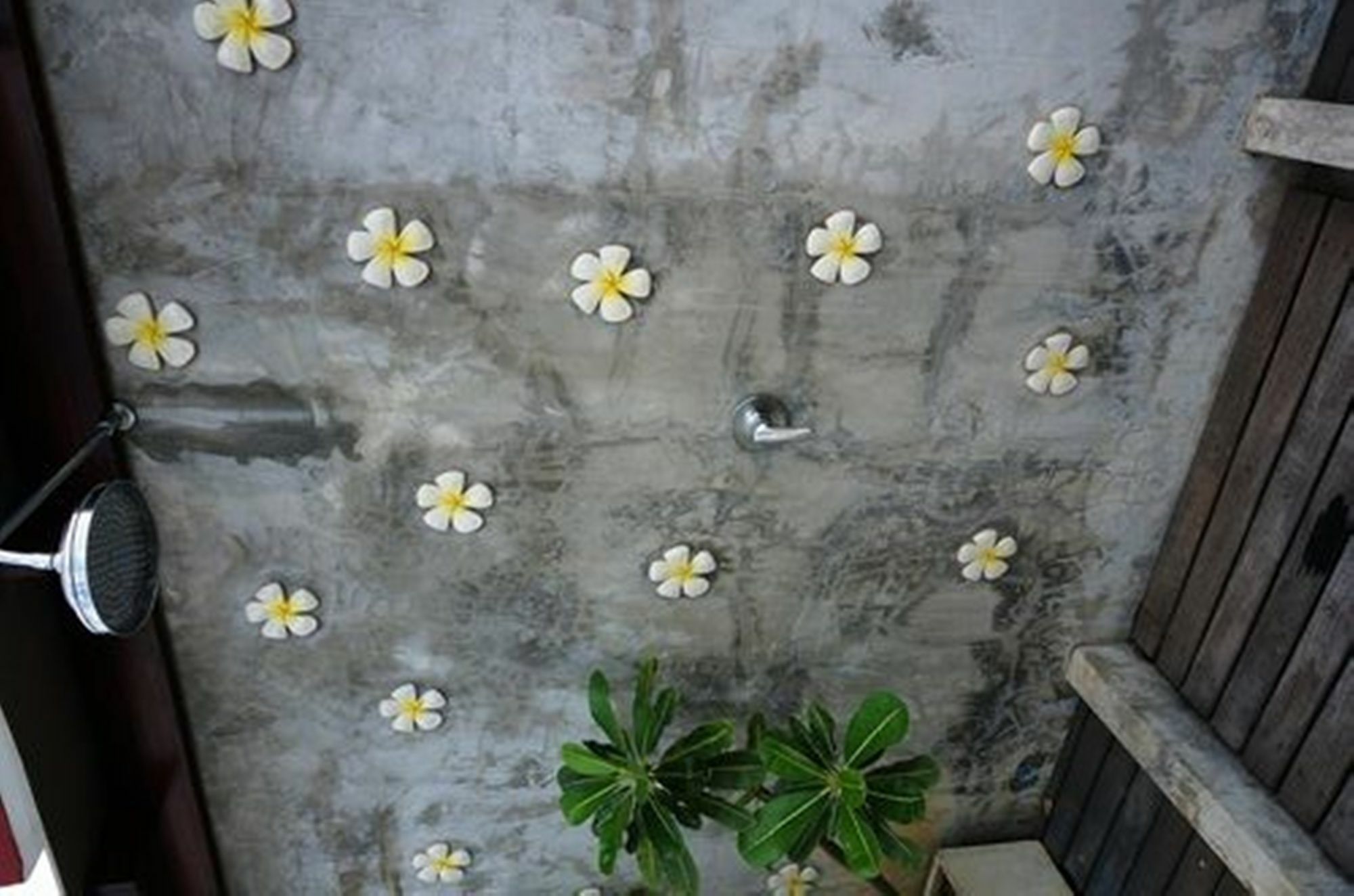 My Place @ Hotel