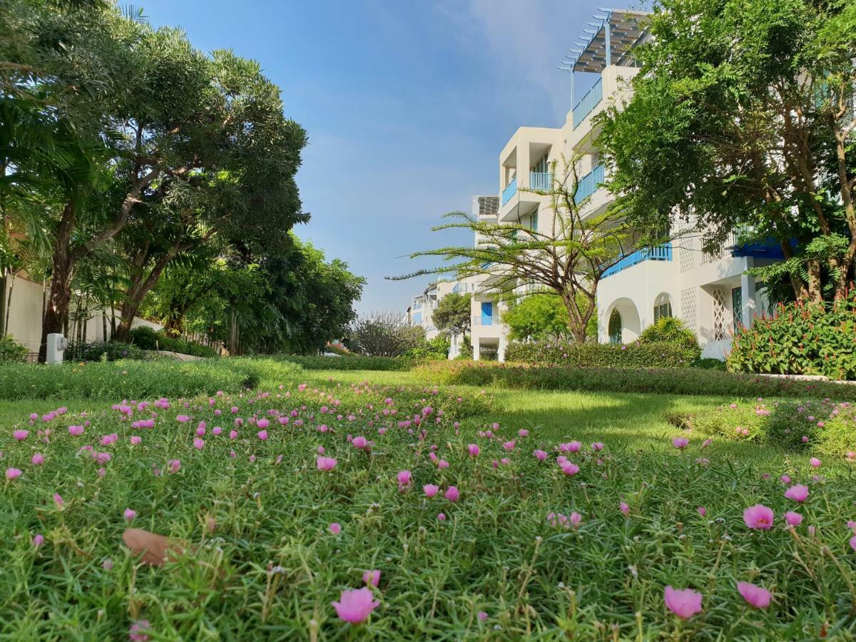 Chelona 436 * Hua Hin