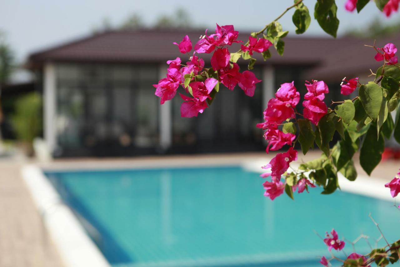 Kk Garden 小院 * Hua Hin
