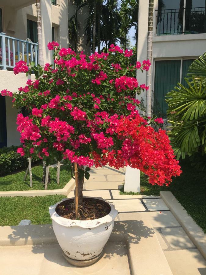 Chelona 108 Apartment Hua Hin