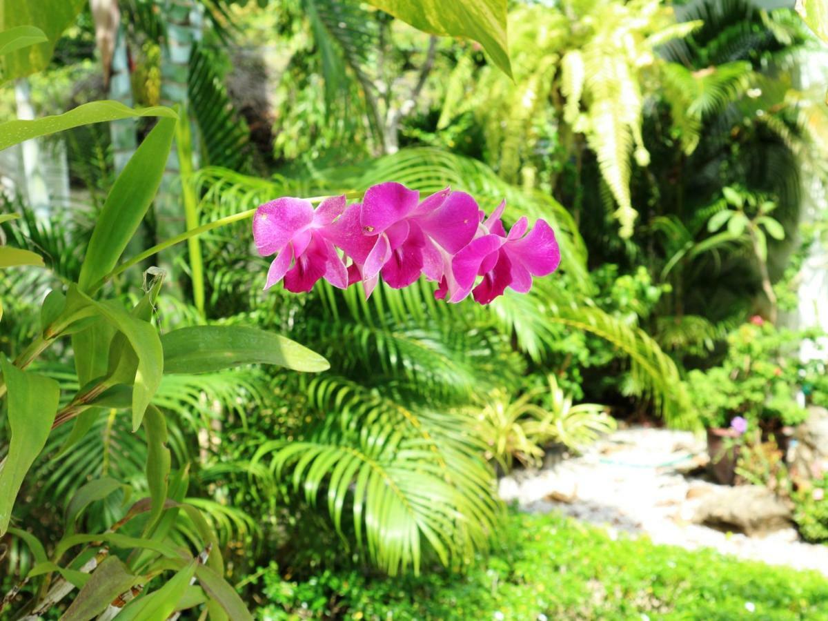 Baan Sabaaidee - Adult Friendly 3* HHQ