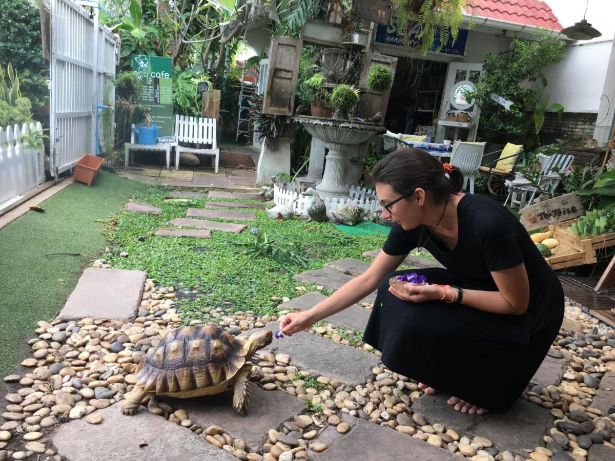 Sea Harmony Eco Katil Hua Hin