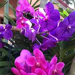 Anantasila Beach Resort Hua Hin