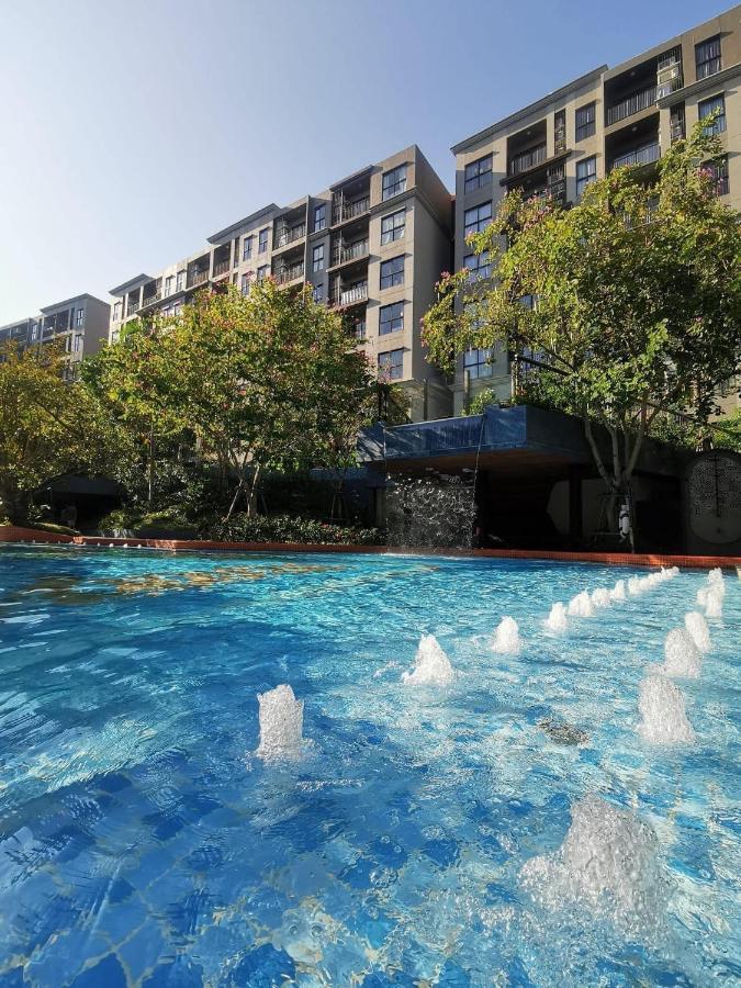 ลาฮาบาน่า Rose 'lahabana * Hua Hin