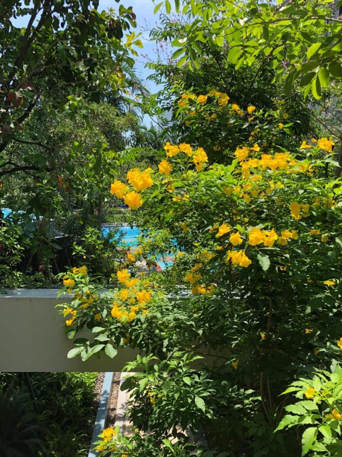 Pool Garden, In Unique La Habana - Hua Hin, Thailand