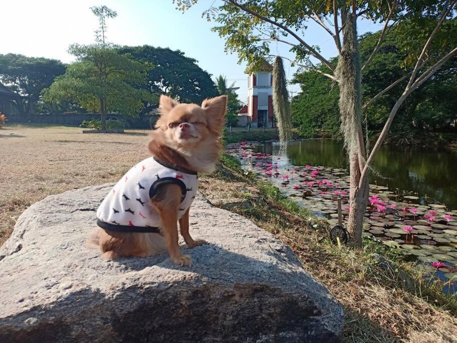 Baan Thansiri 3, Hin Lek Fai, Villa *