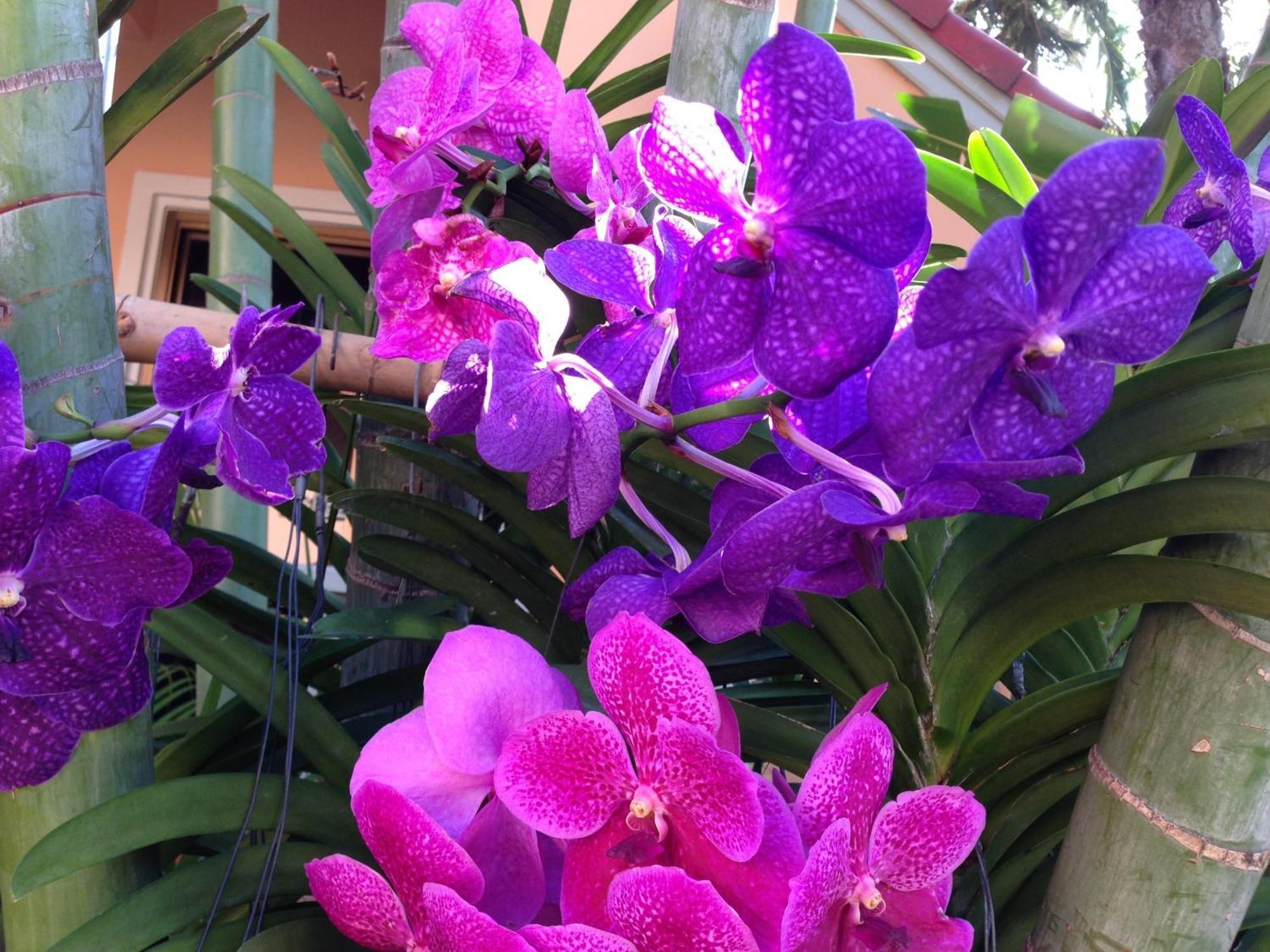 Hotel Anantasila Hua Hin
