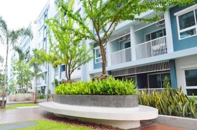 Apartment The Trust And Blue Service