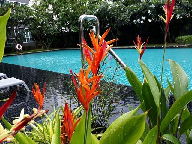 Ban View Viman Apartment *