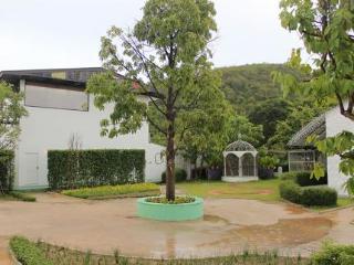 Gorilla Hills