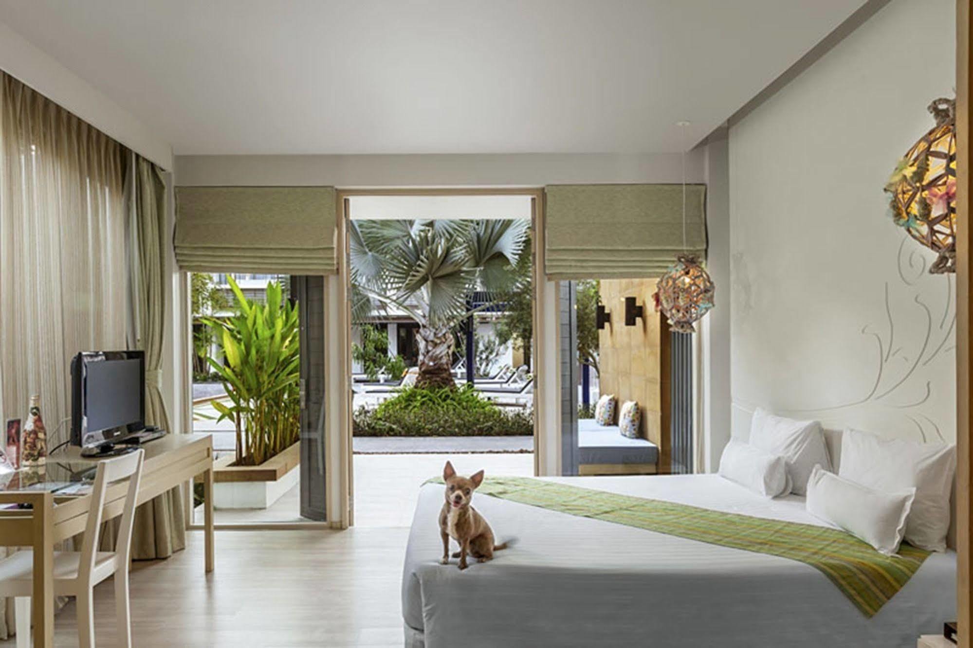 Resort The Lapa HHQ