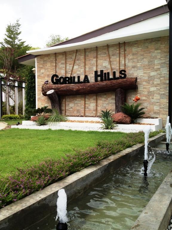 Gorilla Hills