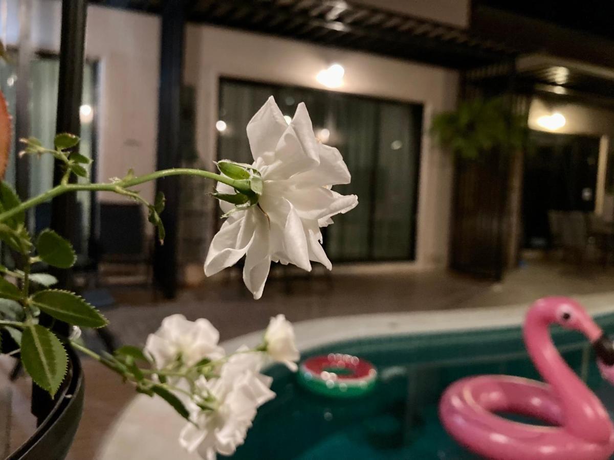 Barbe La Maison Guest house 3*