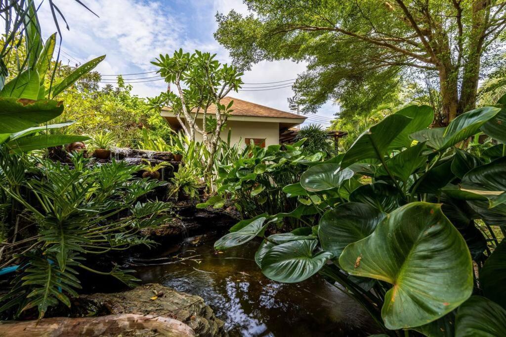 Secluded Oasis For Family And Friends Bm5 Villa *