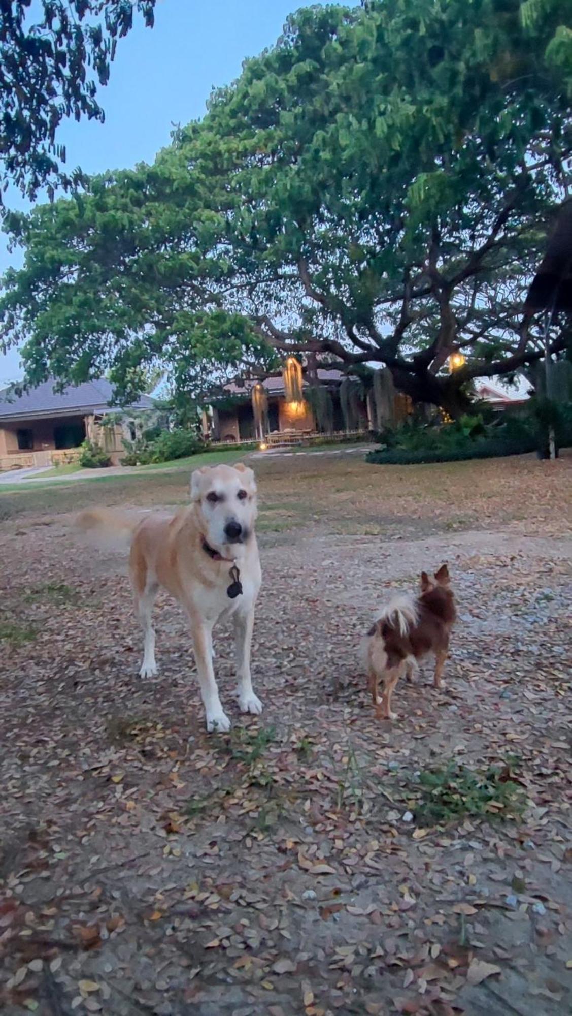 Villa Baan Thansiri 3, Hin Lek Fai, *