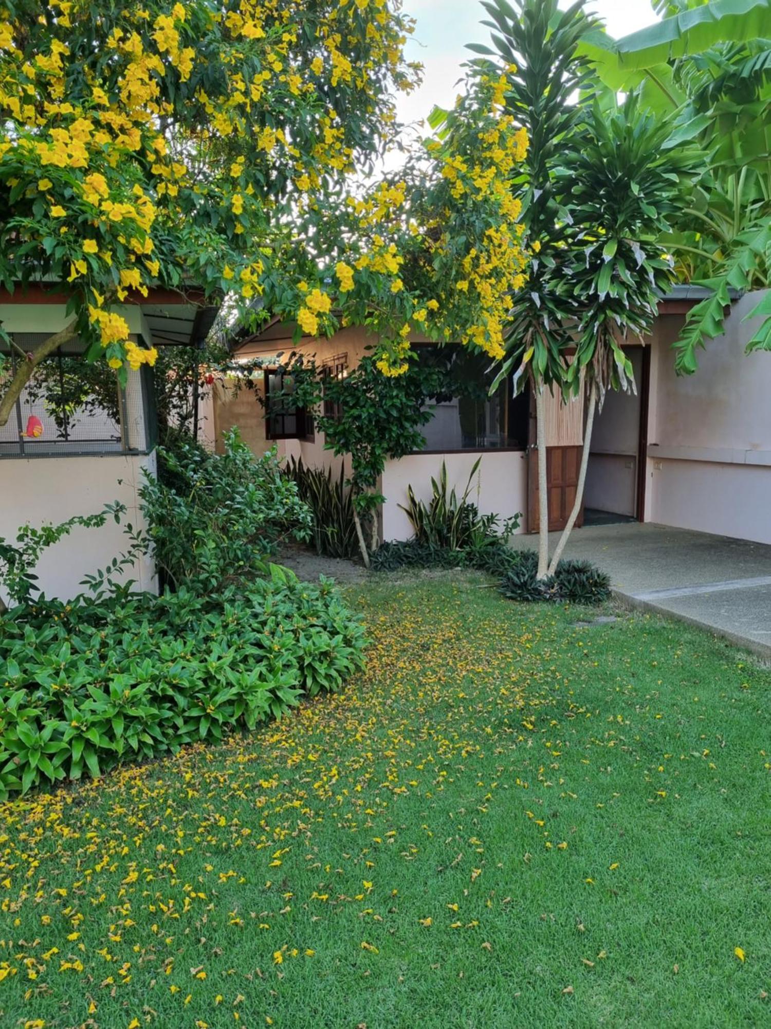 Meyers * Hua Hin