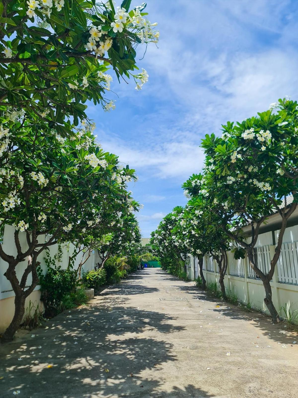 Tropical 2 Bedroom Pool House In Location * Hua Hin