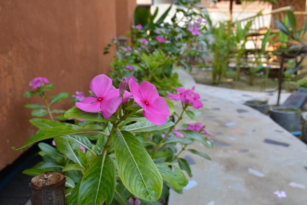 Hotel Panisara Pool 2*
