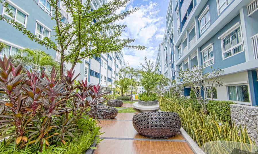 Apartment The Trust And Blue Service *