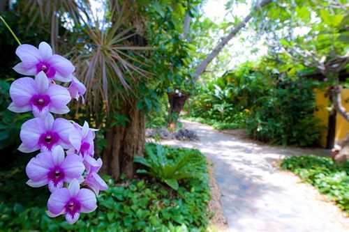 Davinia 4* Hua Hin