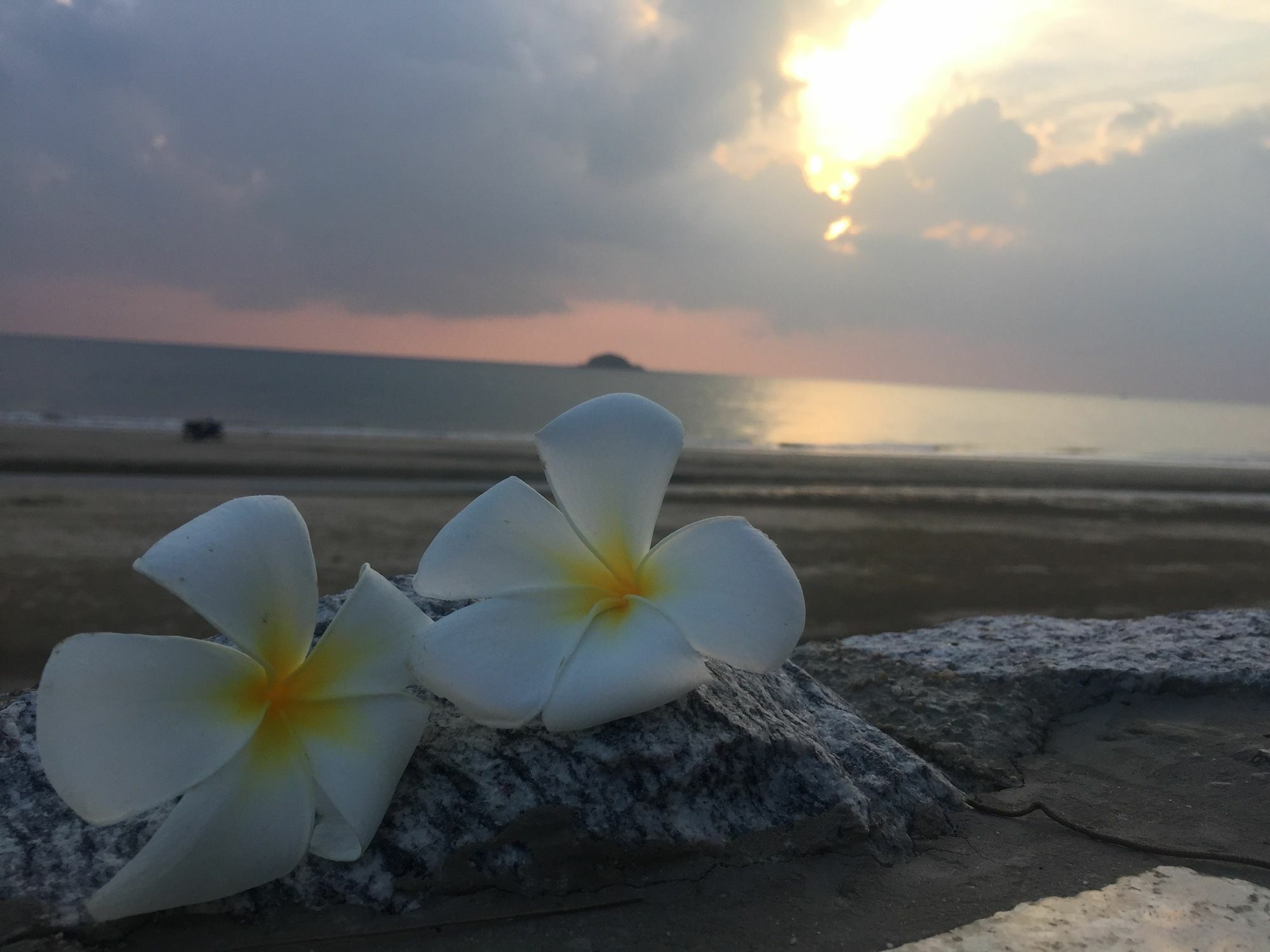 Luxury Beachfront Căn hộ *