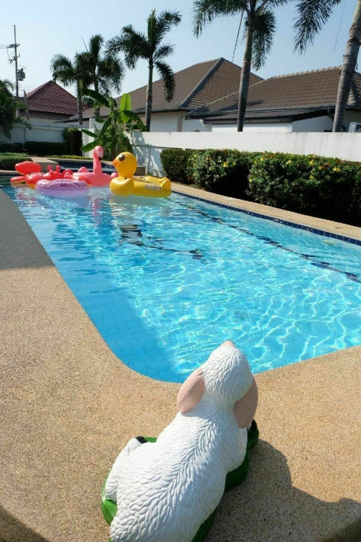 Baan Tonpalm Pool