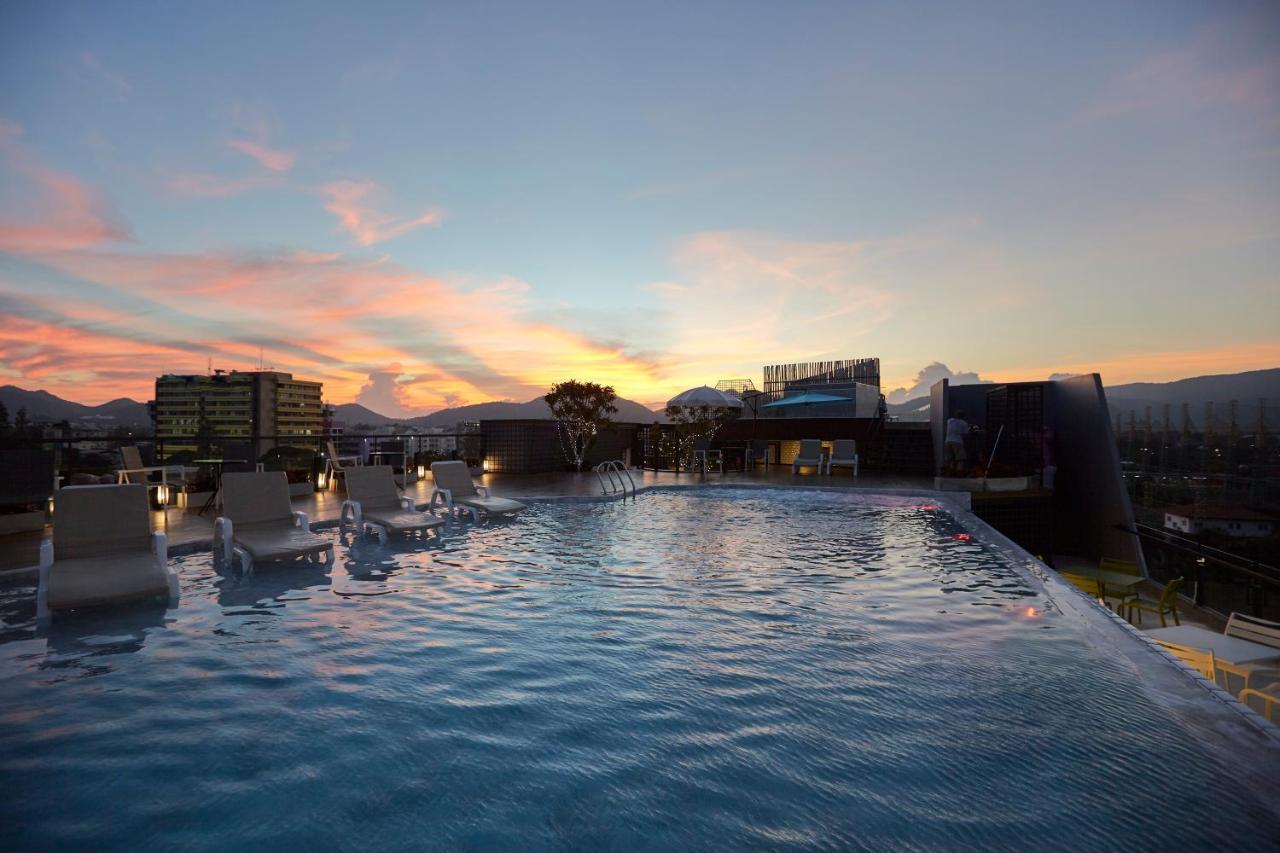 Whale - Sha Hua Hin