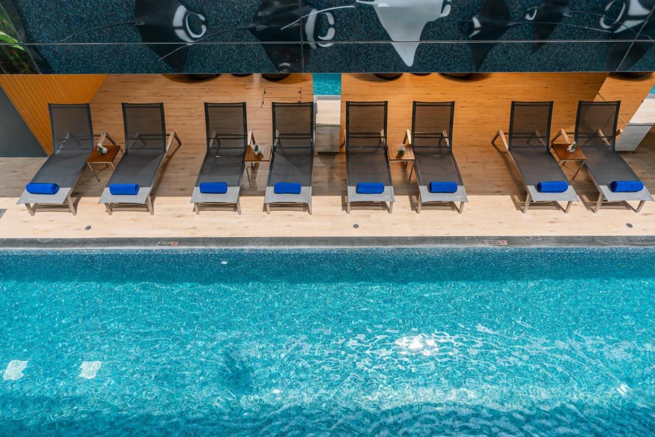Hotel Maven Stylish